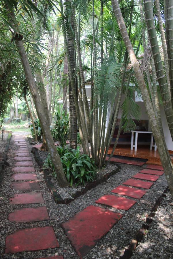 Appartement Mint Inside Garden à Varkala Extérieur photo